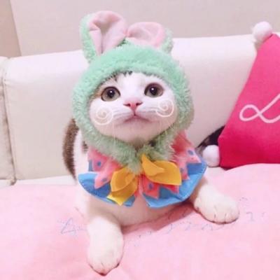 猫咪情侣头像合集