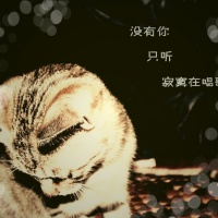 寓意长生的网名