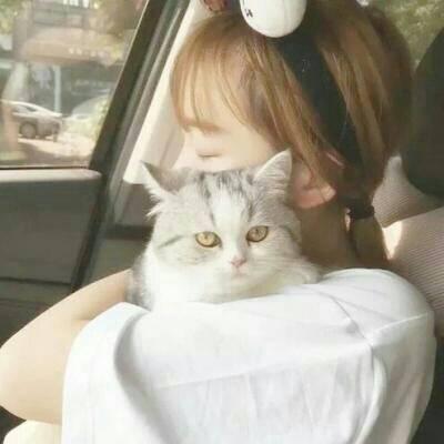 动物头像女