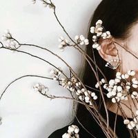 关于蔷薇的网名伤感