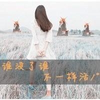 优雅qq网名男生网名