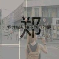 姓氏头像朱姓