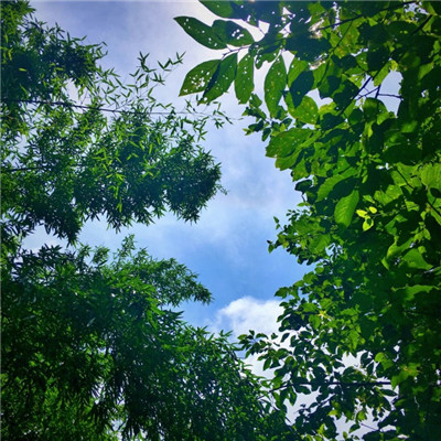 风景图片微信头像