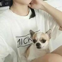 ins头像部位腿女