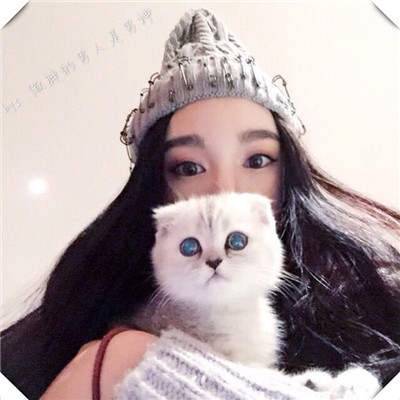 汤姆猫头像高冷