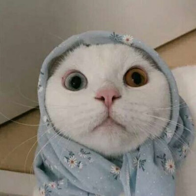 搞笑微信头像图片大全