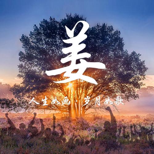 2023年姓张的微信头像