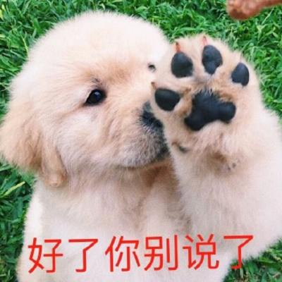 头像狗子搞笑