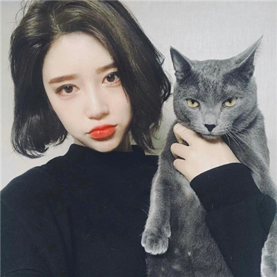 汤姆猫头像高冷
