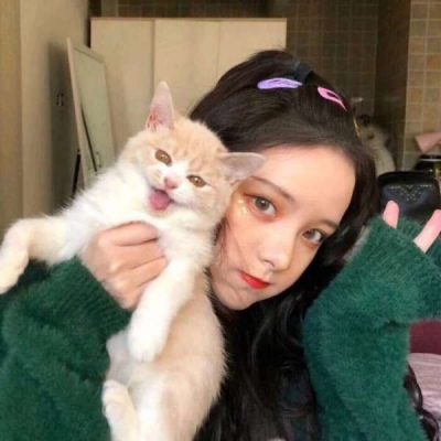 猫可爱头像