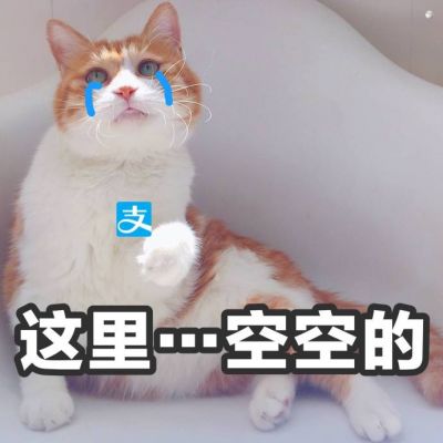 黄氏头像带字黄姓做微信头像