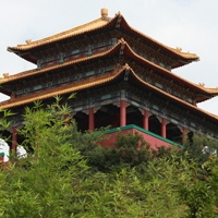 风景头像意境花头像
