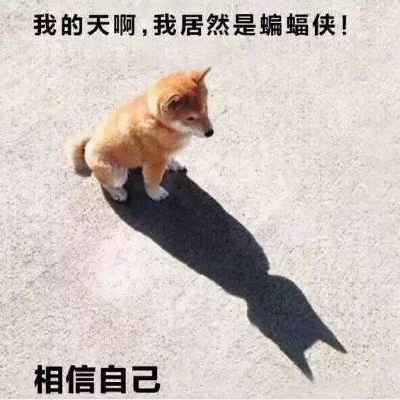 逃跑吧少年搞笑头像图片 逗比