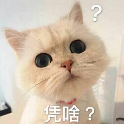 皮卡丘搞笑头像鬼畜