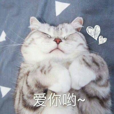 2023年最火搞笑头像