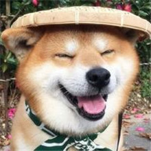 动物头像大全网