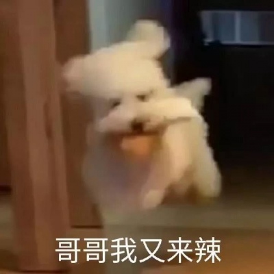 微信头像汤姆猫