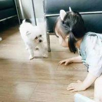 怎样找到可爱头像