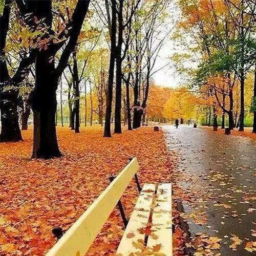 最火微信头像图片风景