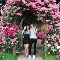 唯美背影qq头像图片