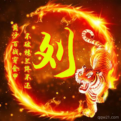 2023年微信头像图片带老虎
