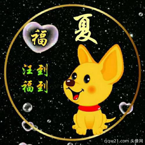 2023虎年姓氏微信头像可爱
