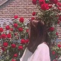 qq头像大全女生背影