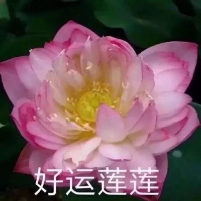 沙雕搞怪头像奥特曼