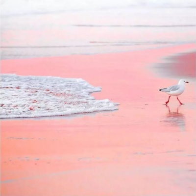 微信头像图片风景海边
