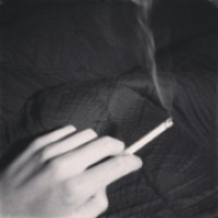 猫的网名男生森系