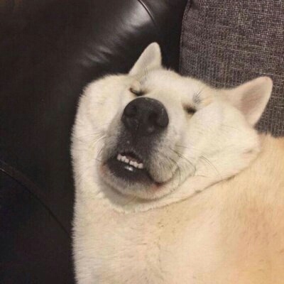 笑死人的头像图片