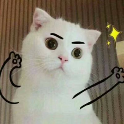 搞笑动物头像图片