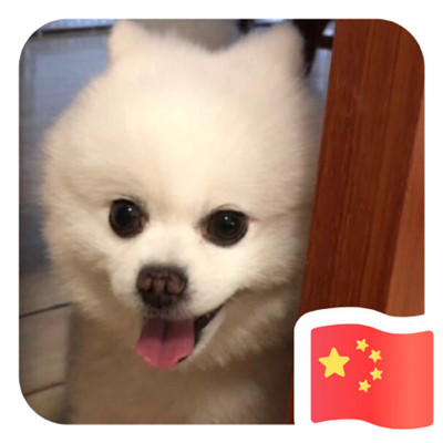 yy高清头像500x500
