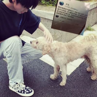 40岁男士专用微信头像财神
