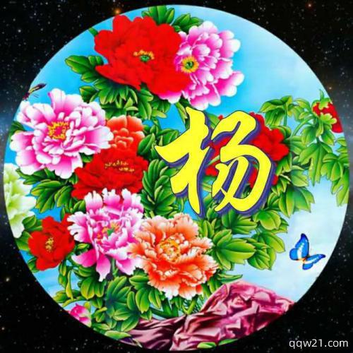 2023微信头像图片旺财