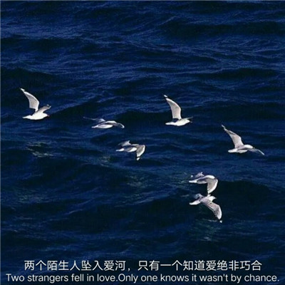 电影解说头像
