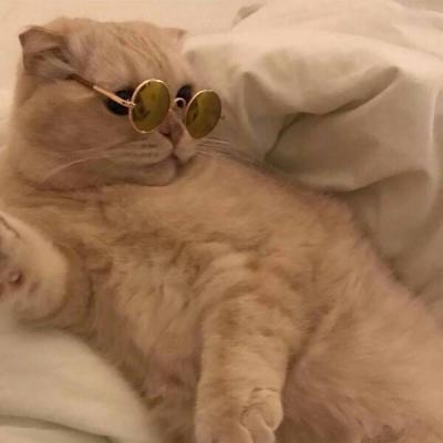汤姆猫图片可爱头像