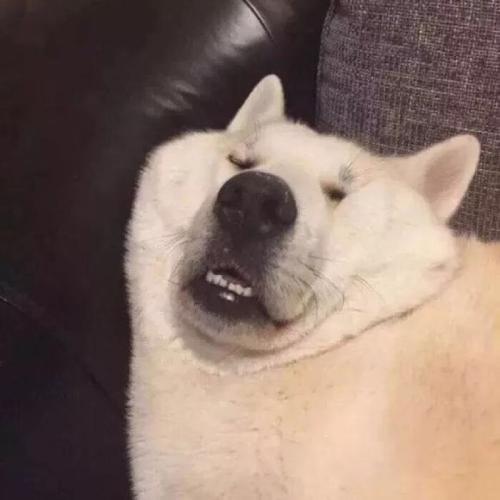 搞怪头像大全搞笑