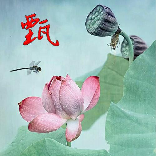 新年微信头像2023最火