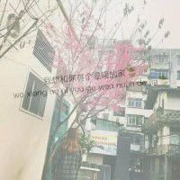 滑稽网名小众女生可爱