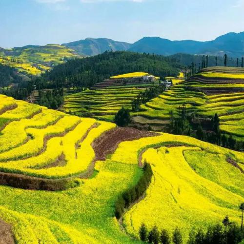 2023年最火微信头像图片风景山水