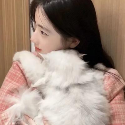 头像图片可爱猫咪
