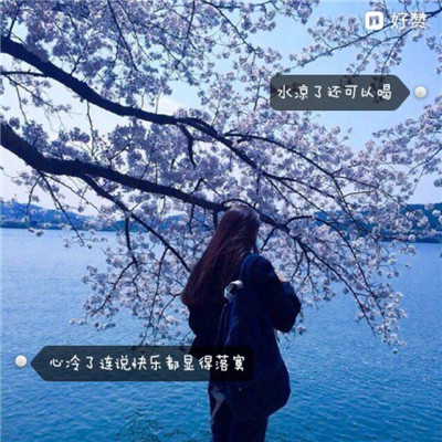 2023女头像最新版的背影