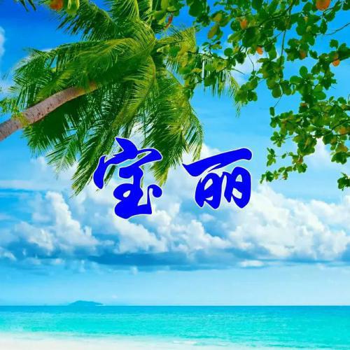 2023年姓氏头像