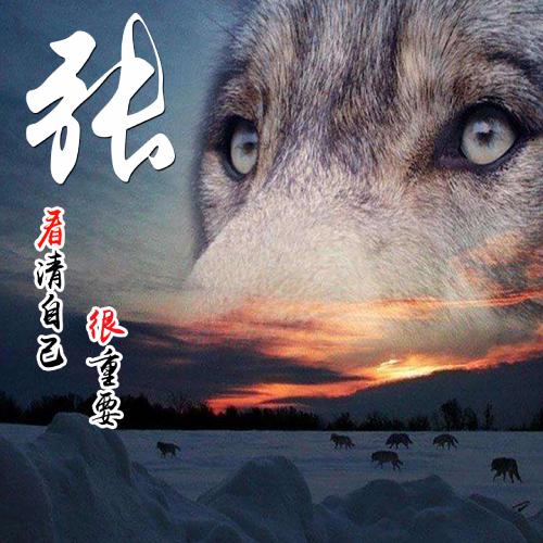 2023漂亮姓氏头像微信