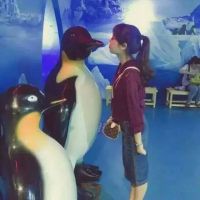 2025年最新情侣网名大全：浪漫创意双人昵称精选