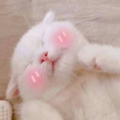 有内涵又搞笑的微信头像