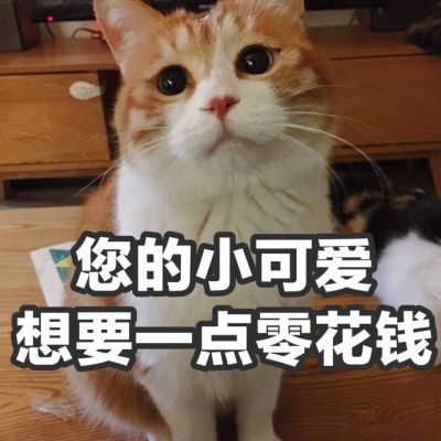 微信头像图片2023最新搞笑