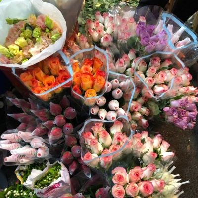 鲜花微信头像图片大全清雅