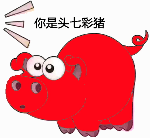 适合做头像的表情包